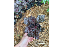 ����������� viber 2021-07-02 07-02-39-435.jpg