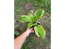 ����������� viber 2021-07-02 07-03-16-214.jpg