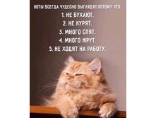 ���� ������ ������� �������� ������ ��� ... 1. �� ������ 2. �� ����� 3. ����� ���� 4. ����� ���� 5. �� ����� �� ������.