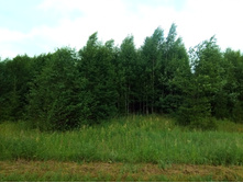 20210703 �600 ���������������� 142959.jpg