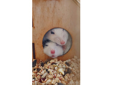 ������ 10.jpg