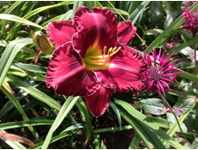 ����������