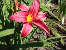 �������� ����� �����