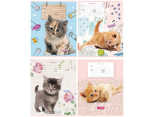 ������� 12�., ����� ����� BG Cat story �5��12 7015 ���� 9,55 + 12 ��.jpg