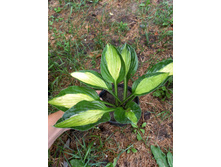 ����������� viber 2021-07-02 07-02-38-663.jpg