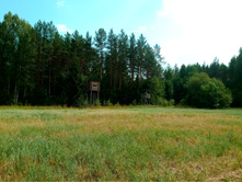 20210717 ����� ��� ������� 1400.jpg