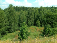 20210710 ������������� ���� 1247.jpg