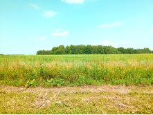 20210710 ������������� ���� 0928.jpg