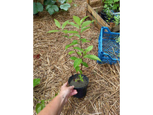 ����������� viber 2021-07-02 07-03-59-285.jpg