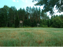 20210717 ����� ��� ������� 1401.jpg