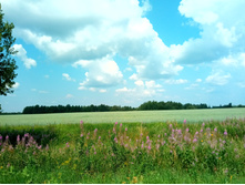 20210710 ������������� ���� 1001.jpg