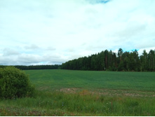 20210703 �600 ���������������� 102259.jpg