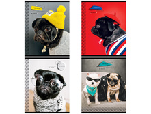 ������� 48�., �5, ������ ArtSpace �������. Pug �48� 29623 ���� 23,89 + 7 ��.jpg