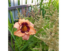 3� �������� ������� �������. ���� 150�