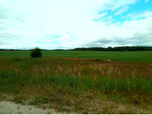 20210703 �600 ���������������� 132723.jpg