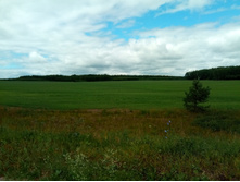 20210703 �600 ���������������� 132639.jpg