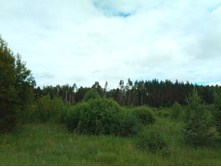 20210703 �600 ���������������� 102241.jpg