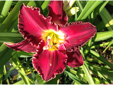 ������� �� �����