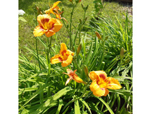 3� ��������. ���� 130�