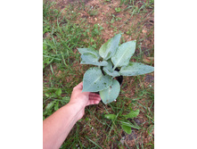 ����������� viber 2021-07-02 07-01-54-454.jpg