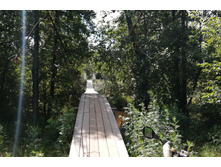 IMG 20210705 121836.jpg