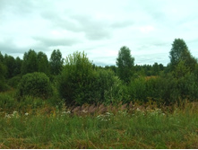 20210703 �600 ���������������� 124004.jpg