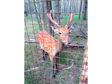 20210821 ������� � �����  141749.jpg