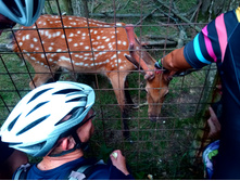 20210821 ������� � �����  141306.jpg