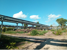 20210814 ����������� �������� 153648.jpg