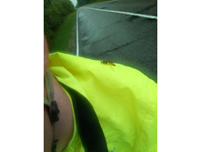 20210807 �200 ���������� 115821.jpg