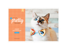 ������ ��� ��������� 08�., �4, �� ������� ArtSpace �������. Pretty friends �08 35954 13,96 + 8 ��.jpg