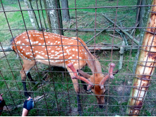 20210821 ������� � �����  141339.jpg