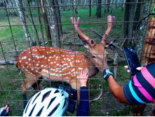 20210821 ������� � �����  141311.jpg