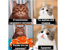 � ��������� ��������� �������. �� �ң�� �ӣ ������. ����� ��� �� �������? �������.