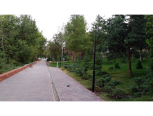 IMG 20210731 200729.jpg