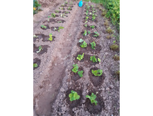 �������� ���� ��������� �����. ���� �� 10 ��. 300�