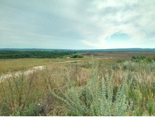 20210814 ����������� �������� 131243.jpg