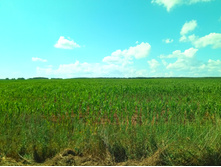 20210731 ��� ������ ������ 1353.jpg