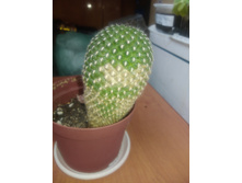 IMG 20210814 140523.jpg