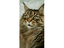 �-���-����!