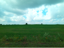 20210731 ��� ������ ������ 1123.jpg