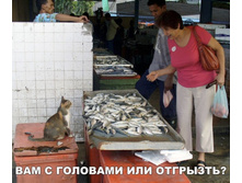 ��� � �������� �� ��������?