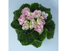 ��-���������� ����1.jpg