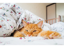 �������! �� ���������!