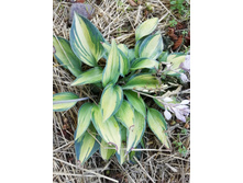 IMG 20210816 141238.jpg