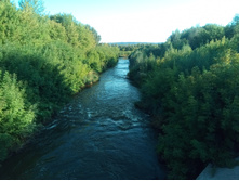 20210814 ����������� �������� 173309.jpg