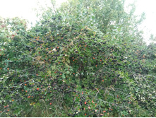 20210821 ������� � �����  173142.jpg