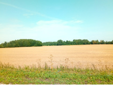 20210807 �200 ���������� 131655.jpg