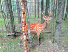 20210821 ������� � �����  142702.jpg