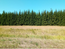 20210828 �300 ��������� 131748.jpg